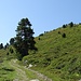 Landschaftlich sehr schöner Aufstieg in Richtung Furgga / Passo del Scengio.