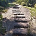 Il Sentiero del Viandante ci regala una scala intagliata nella roccia. Il passaggio continuo dei viandanti ha sensibilmente arrotondato i gradini, ma ancora assolve egregiamente al suo compito.