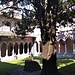 Il Chiostro dell'Abbazia con il suo pozzo e il suo albero. Il chiostro, costituito da colonne in marmo bianco che reggono archi a tutto sesto in laterizio e quattro pilastri a fasce bianche e nere, presenta nei capitelli e nei peducci la varietà di motivi decorativi propria dello stile romanico, che qui però pare già tendere ai nuovi stilemi gotici. Decorazioni geometrizzanti si alternano così a foglie a crochet, ad aquile dalle ali spiegate, o a testine dalla fisionomia ben definita. Non si conosce nessuna notizia riguardo alle maestranze che operarono nel chiostro, anche se pare plausibile individuarne la provenienza in ambito locale, con richiami a modelli borgognoni.