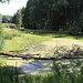 Malý rybník (Kleiner Teich)