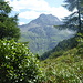 piz da la Margna