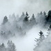 Nebelschwanden durchziehen den Wald beim Holzegg
