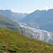 Blick vom Tyndalldenkmal zum grossen Aletschgletscher.