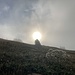 Nebel + Sonne