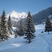 schöner Schnee von der Enge Richtung Aggenstein