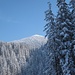 das Brentenjoch ragt vor uns auf - hier waren wir den Winter zuvor auf gleichem Weg hianufgestiegen