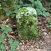 Ein anderer Grenzstein. SG = Senngut Farnsburg. Ursprünglich 156 durchnumerierte Grenzsteine. Die Nummer hier kann ich allerdings nicht lesen.<br /><br /><br />