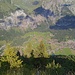 Von der Hangkante am Übergang zur Fisialp auf 1940 m bietet sich ein sehr schöner Ausblick ins Tal nach Kandersteg.