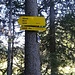 2021- Ogni strada porta alla Wildmoosalm