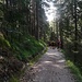 2021- Il bosco intorno al lago di Mosern