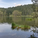 2021- il Lago e l'Hohe Munde... sempre lui!!