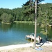 2012- Vista dalla terrazza del ristorante 