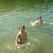 2012- Gio, il pesce! 
