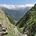 Il vallone del torrente Triftbach.