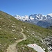 Percorrere un sentiero in falsopiano con davanti agli occhi i Lyskamm, il Castore, il Pollùce ed i Breithorn...impagabile. 