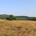 Wiesenland - ich pirsche auf der Spur der Hirsche