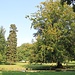 Valeč, Schlosspark