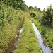 Wiesenweg - plitsch, platsch