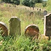 Jüdischer Friedhof