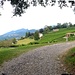 <b>Al Colle degli Ulivi.</b>