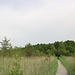 trocken durchs Moor