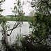Ufer