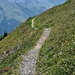 Auf dem Rückweg zur Brunnihütte SAC