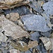 Typisches metamorphes Gestein der Matreier Zone des Tauernfensters, ursprünglich aus Sedimenten eines Meeres, und das in 2000 m.H. (Phyllite)