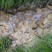 Extrem kalkreiches Wasser, die Steine des Baches sind mehrere Millimeter-Zentimeter versintert. (ähnlich Tropfsteinhöhlen)