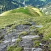 Auf Pfadspuren steil runter zur Alp Valleglia