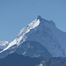 Zoom auf den schönen Biancograt & Piz Bernina