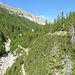 Bärental. Der untere Weg hinauf nach Bärentaler Alp war zurzeit geschlossen.