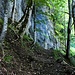 Aufstieg durch den Wald