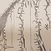 Topo der Route "Alpendurst" am Jegihorn (Route Nr. 3, Plaisir West)