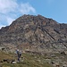 Urs im Aufstieg unter der Südwand des Jegihorns