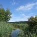 Naturreservat zwischen Ammer- und Pilsensee