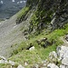 Der Weg zum Radlsee