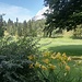2021- Campo da Golf.. un green molto panoramico!!