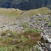 Verso la Val Viola.