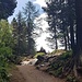 Seeuferweg beim Aussichtspunkt