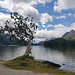 Ufer bei Sils Maria