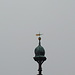noch etwas grau am Morgen