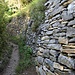 La parte finale del sentiero è costeggiata da un muretto a secco molto bello fino a Vezio e al suo castello.
