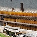 Grappa wird an der Sonne gereift