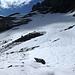 Beim Abstieg über den Sardonagletscher steuerten wir den am nächsten gelegenen Steinmann an