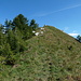quasi in cima