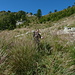 Sommersa dall'erba