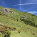 wunderschöner Abstieg