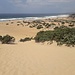 Sabbia finissima quella delle dune, che rende la salita abbastanza difficoltosa.