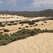 Nonostante la sabbia e la mancanza di acqua, la vegetazione riesce a crescere nelle zone più riparate, stabilizzando parte delle dune. A sinistra, sullo sfondo, si vede il Monte Arcuentu, che mi ero posto come meta per una delle successive uscite.